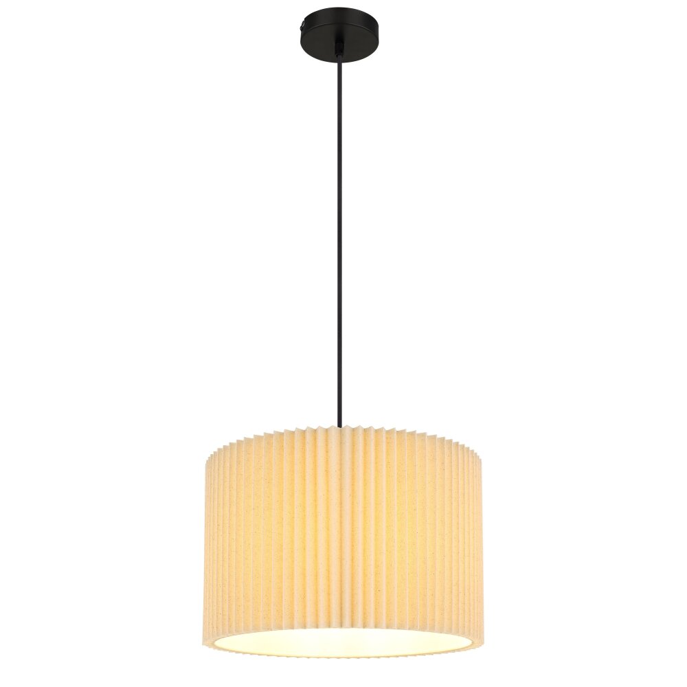 Page Suspension Luminaires Globo Lighting Noir, 1 lumière main product photo