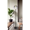 Lacy Lampadaire Luminaires Globo Lighting LED Noir, 1 lumière
