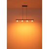 Higgins Suspension Luminaires Globo Lighting Or, Noir, 4 lumières