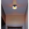 Higgins Plafonnier Luminaires Globo Lighting Noir, 1 lumière