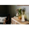 Liva Lampe à poser Luminaires Globo Lighting LED Gris, 1 lumière