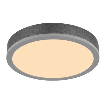 Doro Plafonnier Luminaires Globo Lighting LED Gris, Argenté, 1 lumière