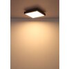 Doro Plafonnier Luminaires Globo Lighting LED Gris, Argenté, 1 lumière