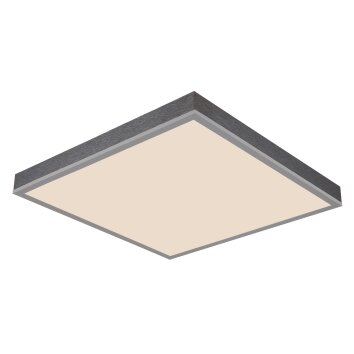 Doro Plafonnier Luminaires Globo Lighting LED Gris, Argenté, 1 lumière, Télécommandes