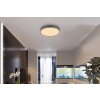 Doro Plafonnier Luminaires Globo Lighting LED Gris, Argenté, 1 lumière