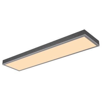 Doro Plafonnier Luminaires Globo Lighting LED Gris, Argenté, 1 lumière