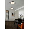 Doro Plafonnier Luminaires Globo Lighting LED Argenté, Blanc, 1 lumière