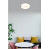 Leticia Plafonnier Luminaires Globo Lighting LED Blanc, 1 lumière