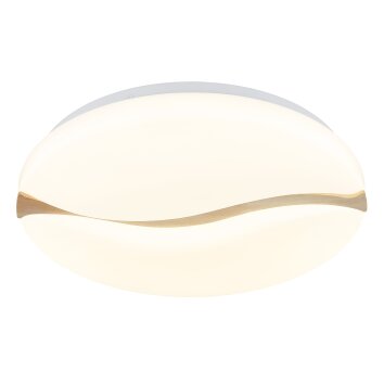 Leticia Plafonnier Luminaires Globo Lighting LED Blanc, 1 lumière
