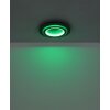 Jayden Plafonnier Luminaires Globo Lighting LED Noir, 1 lumière, Télécommandes, Changeur de couleurs