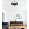 Jayden Plafonnier Luminaires Globo Lighting LED Noir, 1 lumière, Télécommandes, Changeur de couleurs