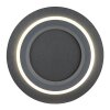 Jayden Plafonnier Luminaires Globo Lighting LED Noir, 1 lumière, Télécommandes, Changeur de couleurs