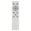 Jayden Plafonnier Luminaires Globo Lighting LED Gris, Noir, 1 lumière, Télécommandes, Changeur de couleurs