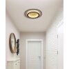 Jayden Plafonnier Luminaires Globo Lighting LED Or, Noir, 1 lumière