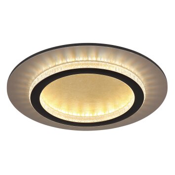 Jayden Plafonnier Luminaires Globo Lighting LED Or, Noir, 1 lumière