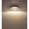 Jayden Plafonnier Luminaires Globo Lighting LED Or, Noir, 1 lumière, Télécommandes