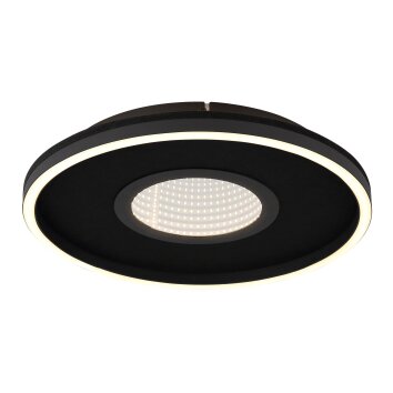 Emory Plafonnier Luminaires Globo Lighting LED Noir, 1 lumière