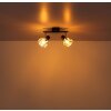 Zachery Plafonnier Luminaires Globo Lighting Noir, 2 lumières