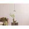Raymond Suspension Luminaires Globo Lighting LED Anthracite, Noir, 1 lumière