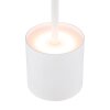 Dixon Lampe à poser Luminaires Globo Lighting LED Blanc, 1 lumière