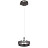 Hendricks Suspension Luminaires Globo Lighting LED Bronze, 1 lumière