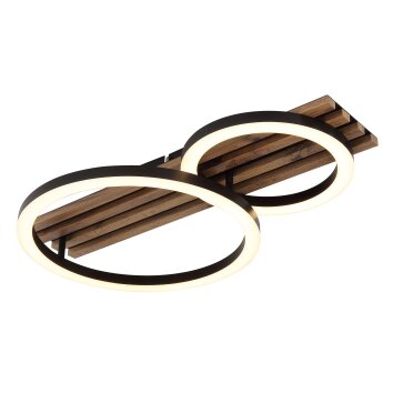 Tisha Plafonnier Luminaires Globo Lighting LED Écru, Noir, 1 lumière