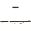 Watkins Suspension Luminaires Globo Lighting LED Noir, 1 lumière