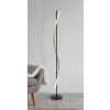 Watkins Lampadaire Luminaires Globo Lighting LED Noir, 1 lumière