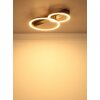 Dakari Plafonnier Luminaires Globo Lighting LED Noir, 1 lumière