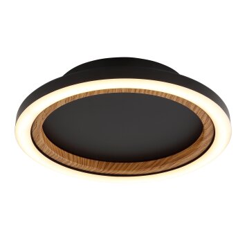 Dakari Plafonnier Luminaires Globo Lighting LED Noir, 1 lumière