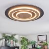 Lidor Plafonnier LED Noir, 1 lumière
