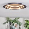 Lidor Plafonnier LED Noir, 1 lumière