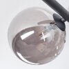 Chehalis Plafonnier, Boule lumineuse Fumé, 5 lumières