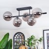 Chehalis Plafonnier, Boule lumineuse Fumé, 5 lumières