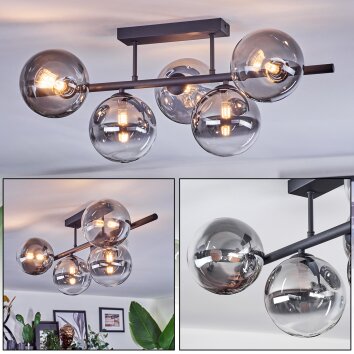 Chehalis Plafonnier, Boule lumineuse Clair, Fumé, 5 lumières