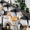 Gastor Suspension, Boule lumineuse, Suspension Ambre, Clair, Fumé, 5 lumières