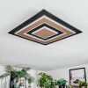 Lidor Plafonnier LED Noir, 1 lumière