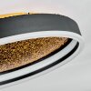 Guine Plafonnier LED Or, Noir, 1 lumière