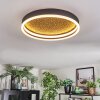 Guine Plafonnier LED Or, Noir, 1 lumière