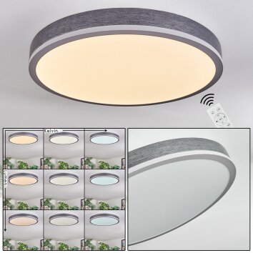 Salmi Plafonnier, Panel LED Gris, Argenté, 1 lumière, Télécommandes