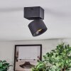 Narel Plafonnier, Spot de plafond LED Noir, 1 lumière