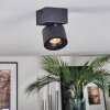 Narel Plafonnier, Spot de plafond LED Noir, 1 lumière