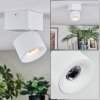 Narel Plafonnier, Spot de plafond LED Blanc, 1 lumière