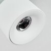 Narel Plafonnier, Spot de plafond LED Blanc, 1 lumière