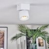 Narel Plafonnier, Spot de plafond LED Blanc, 1 lumière