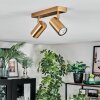 Javel Plafonnier, Spot de plafond Or, 2 lumières