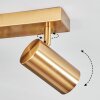 Javel Plafonnier, Spot de plafond Or, 2 lumières