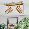 Javel Plafonnier, Spot de plafond Or, 2 lumières