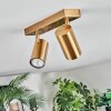 Javel Plafonnier, Spot de plafond Or, 2 lumières