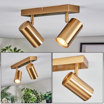 Javel Plafonnier, Spot de plafond Or, 2 lumières